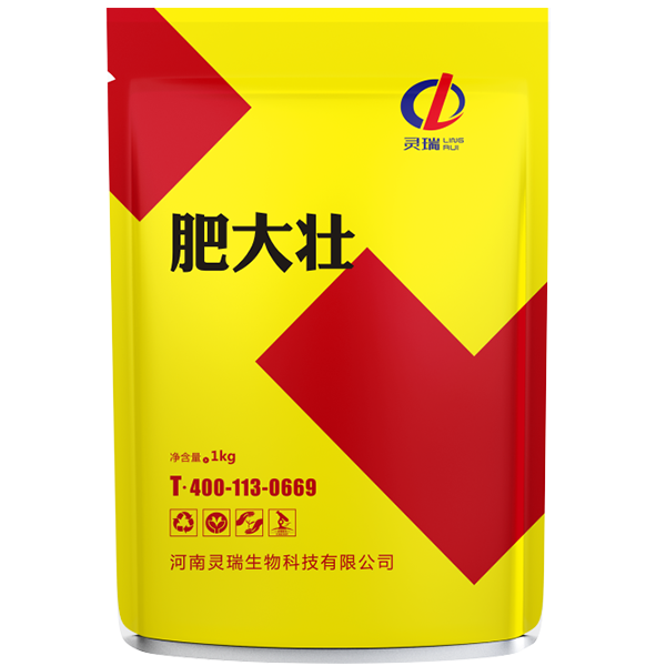 肥大壯